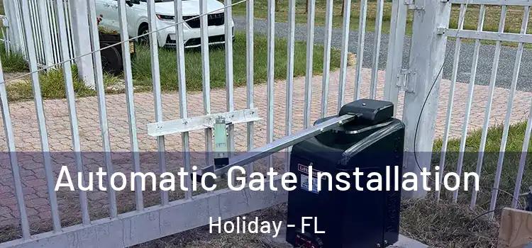 Automatic Gate Installation Holiday - FL