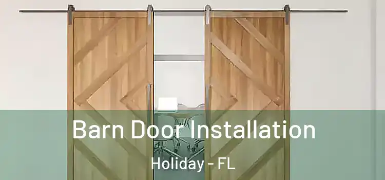 Barn Door Installation Holiday - FL