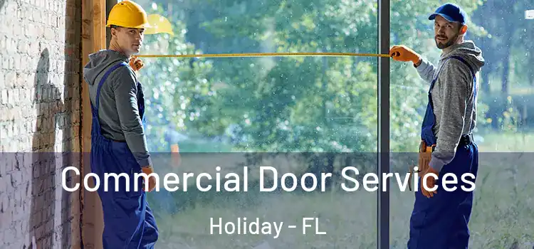 Commercial Door Services Holiday - FL