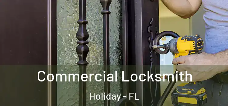 Commercial Locksmith Holiday - FL