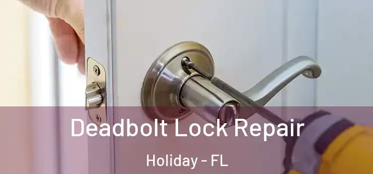 Deadbolt Lock Repair Holiday - FL