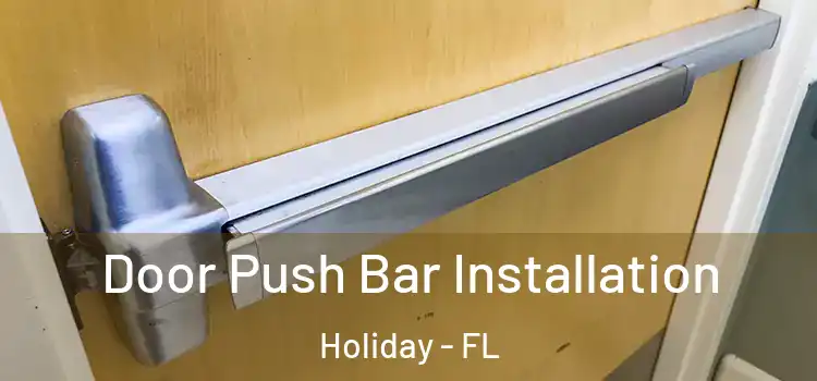 Door Push Bar Installation Holiday - FL