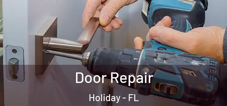 Door Repair Holiday - FL