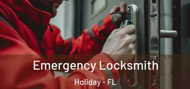 Emergency Locksmith Holiday - FL