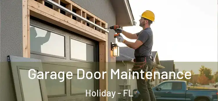 Garage Door Maintenance Holiday - FL