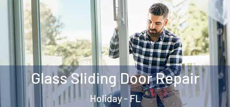 Glass Sliding Door Repair Holiday - FL