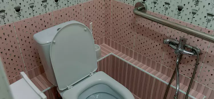 Meeting Diverse Needs With Accessible Restroom Solutions in Holiday, FL