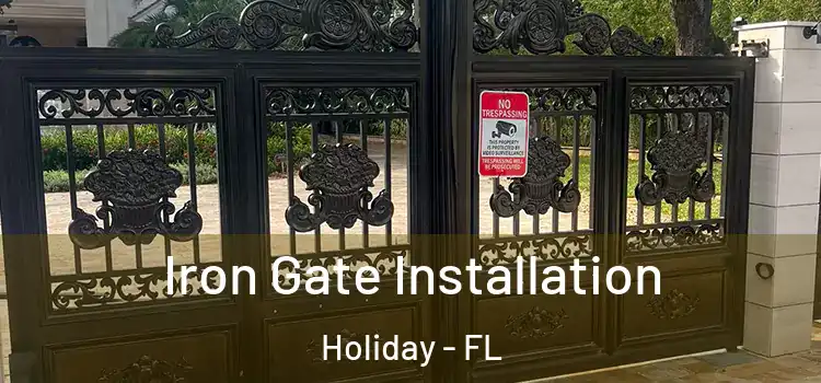Iron Gate Installation Holiday - FL