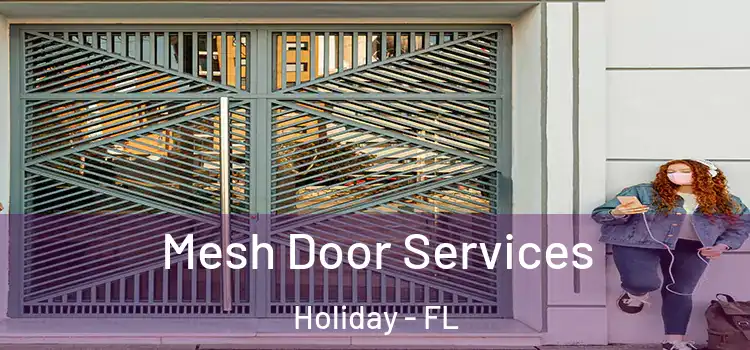 Mesh Door Services Holiday - FL