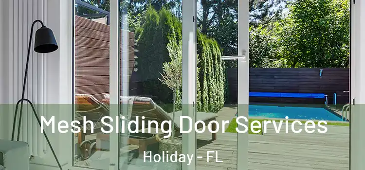 Mesh Sliding Door Services Holiday - FL